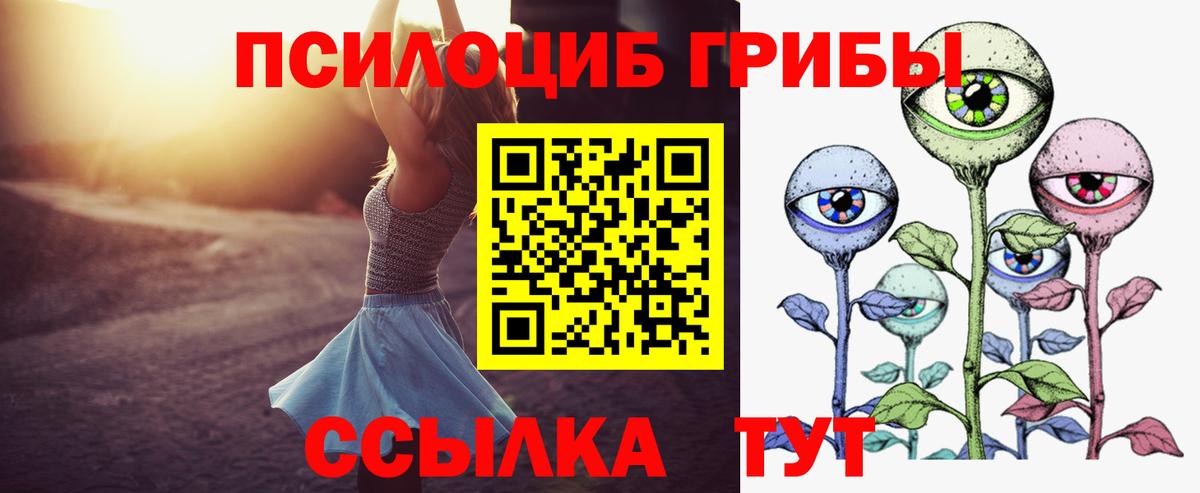 Псилоцибиновые грибы MAGIC MUSHROOMS  Галлюциногенные грибы прущие грибы  Кулебаки  Вход с VPN 